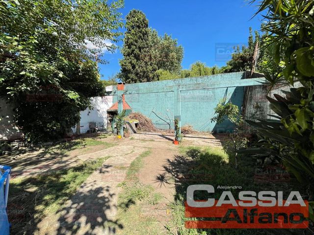 place photo 17