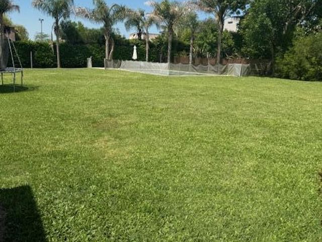 place photo 53