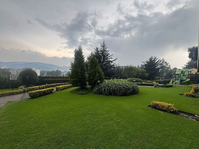 place photo 45