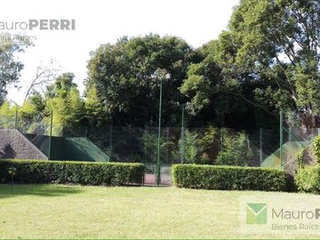 place photo 22