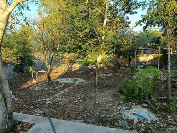 place photo 33