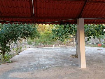 place photo 26