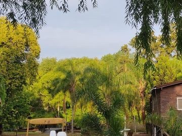 place photo 33