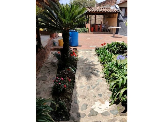 place photo 37
