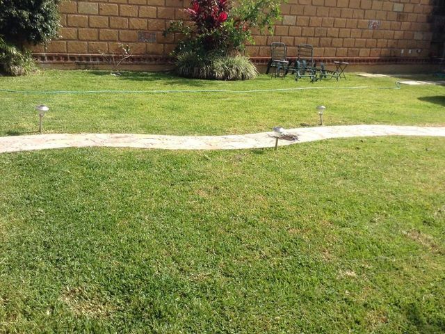 place photo 24