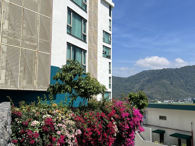 place photo 16
