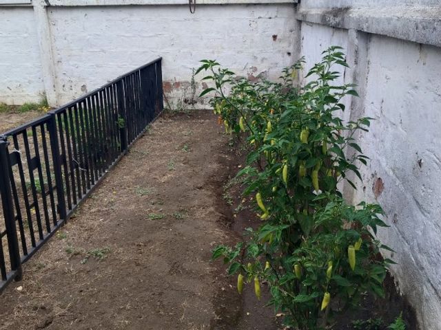 place photo 29