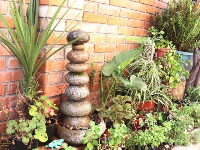 place photo 23