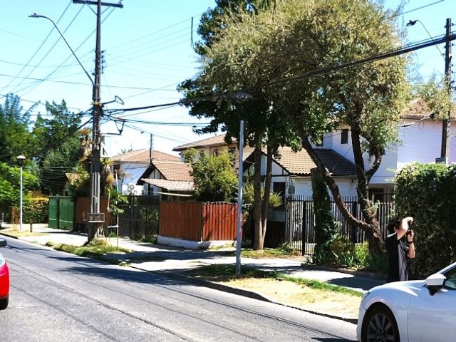 place photo 27