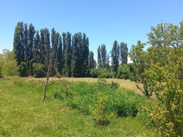 place photo 27