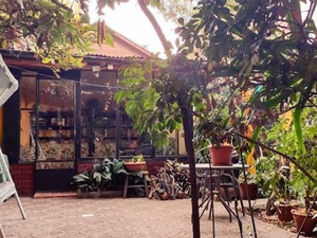 place photo 15