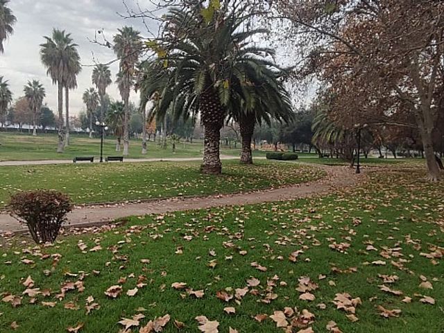 place photo 14