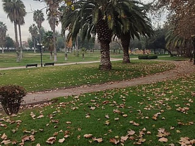 place photo 15