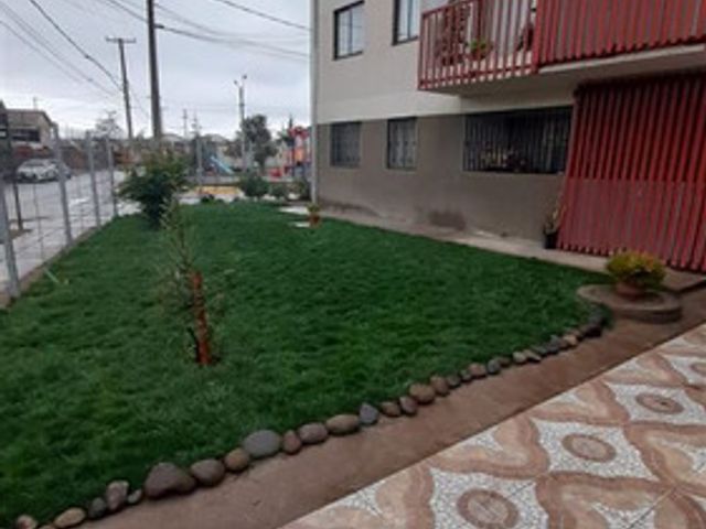 place photo 20