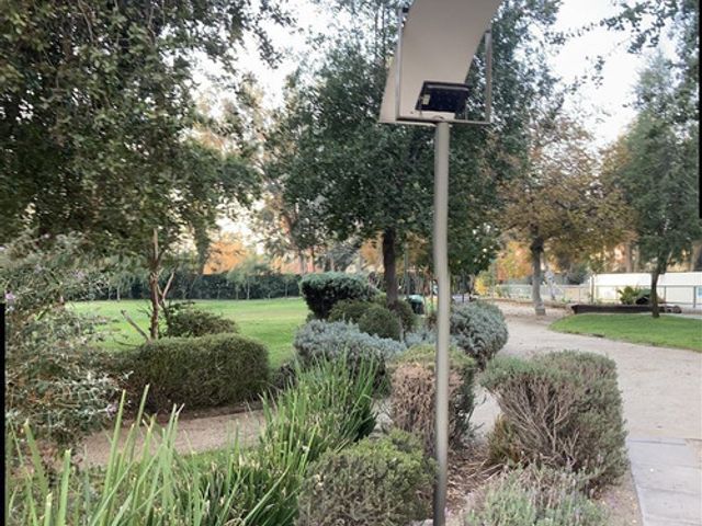 place photo 26