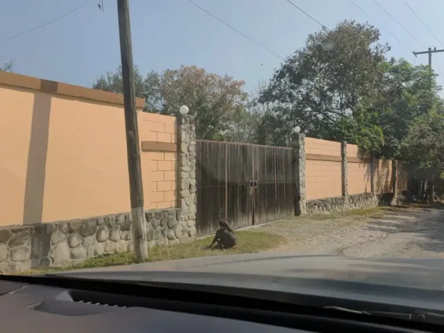 place photo 15
