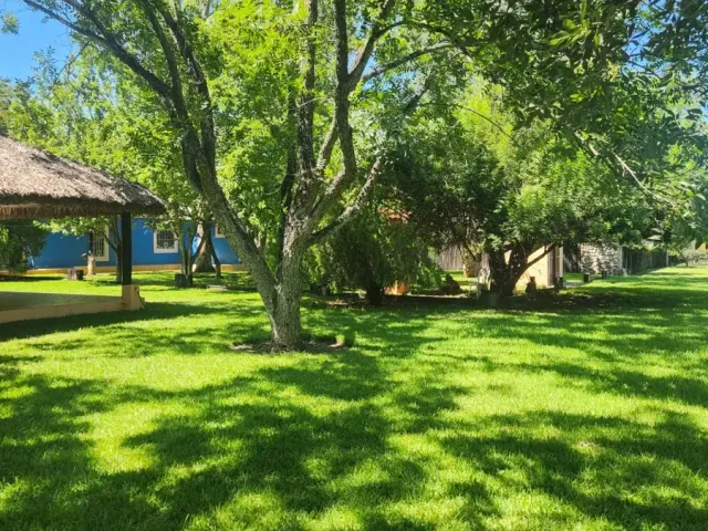 place photo 34