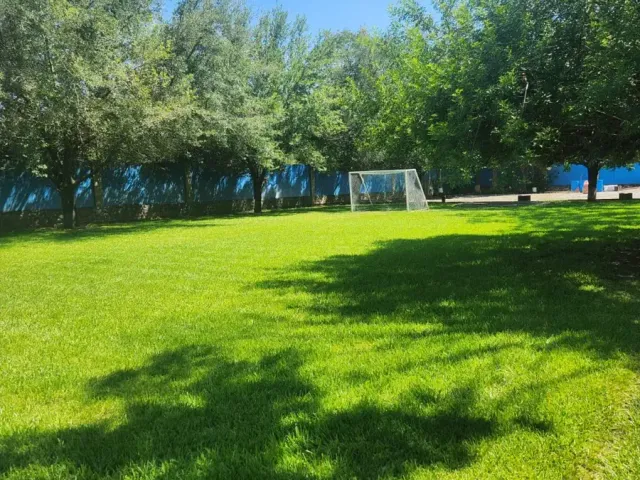 place photo 29