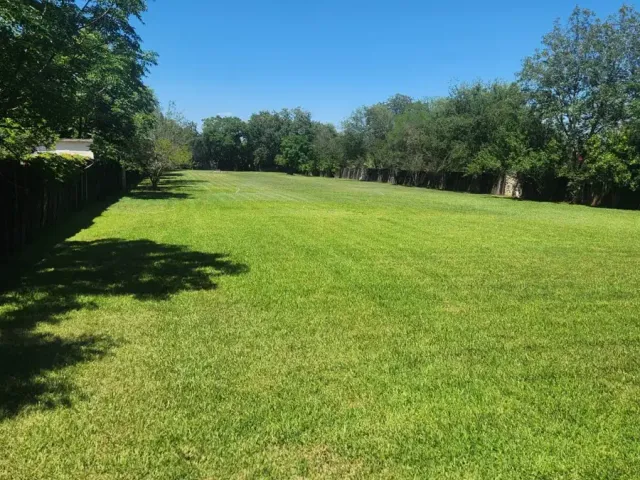 place photo 32