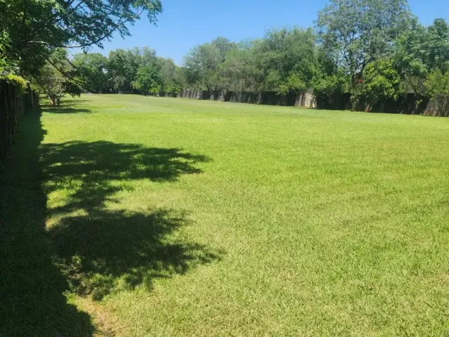 place photo 42