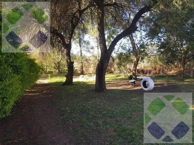 place photo 26