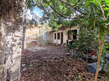 place photo 34
