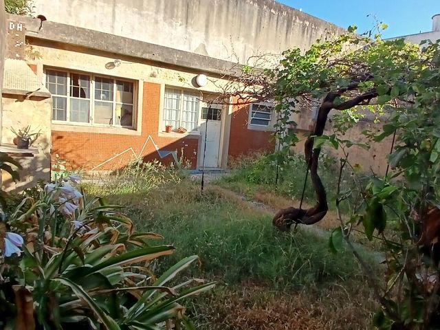 place photo 43