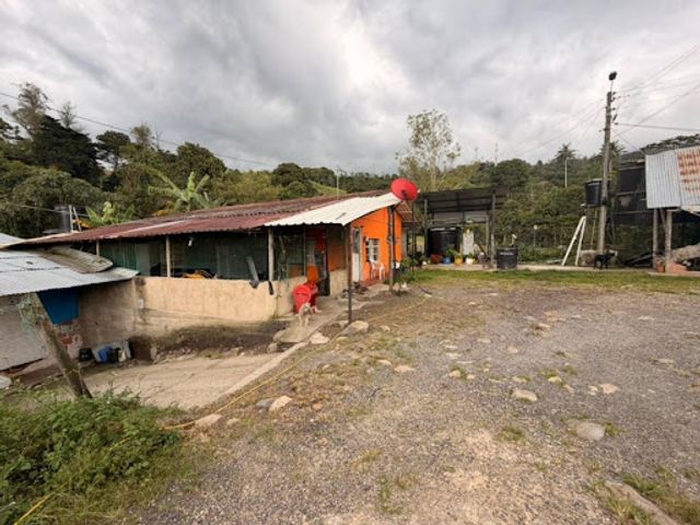 place photo 28