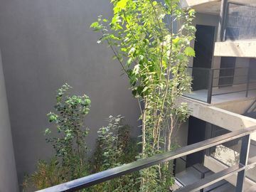 place photo 31
