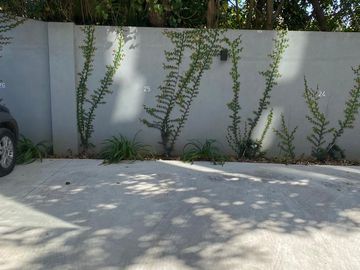 place photo 32