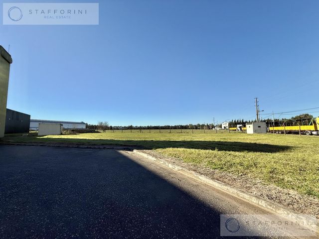 place photo 26