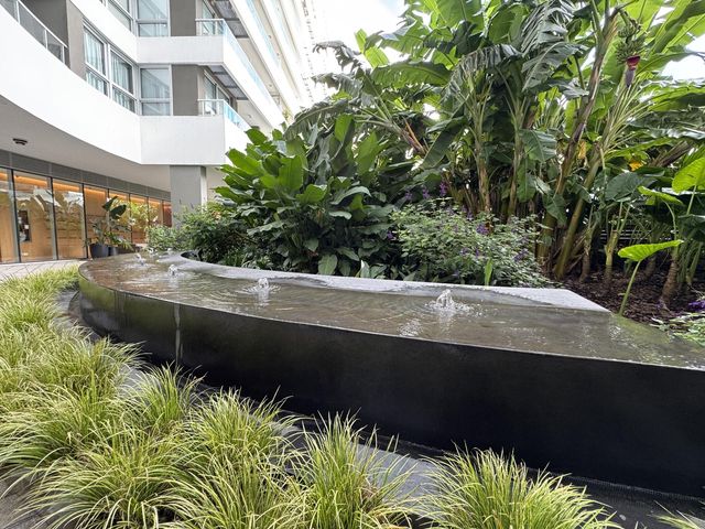 place photo 44