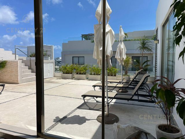 place photo 28