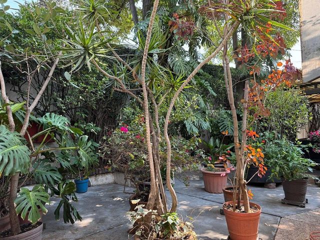 place photo 28