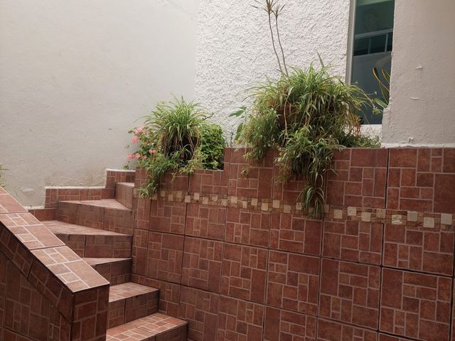place photo 44