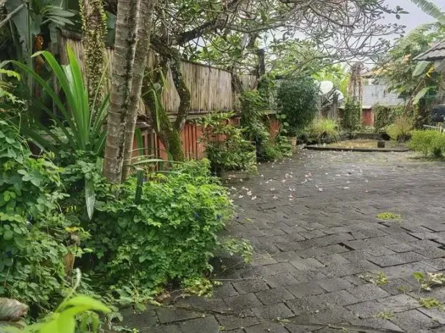 place photo 17