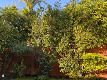place photo 39