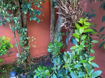 place photo 42