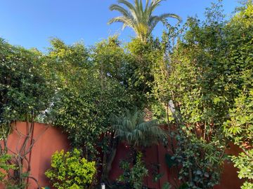 place photo 37