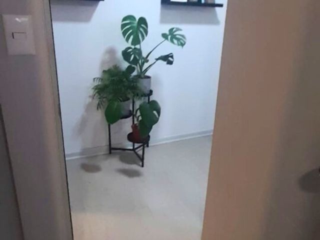 place photo 59
