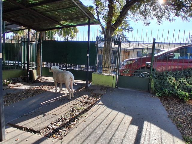 place photo 40