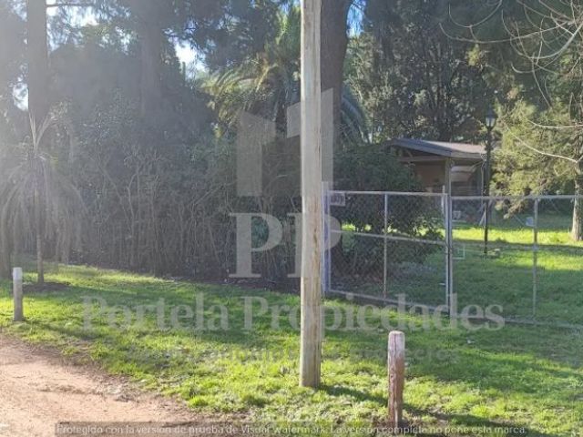 place photo 6