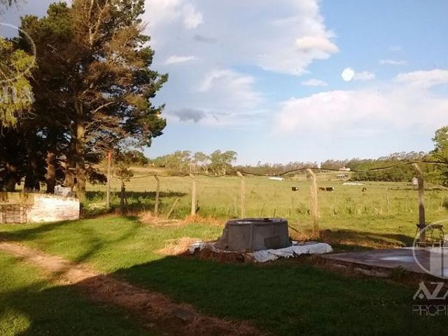 place photo 16