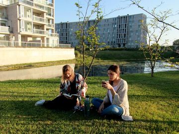 place photo 17