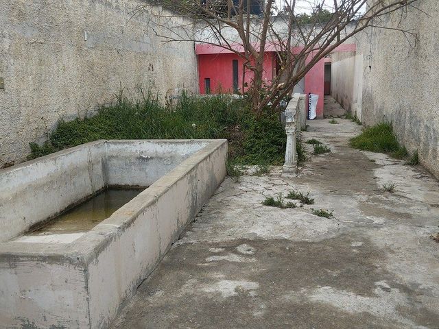 place photo 29