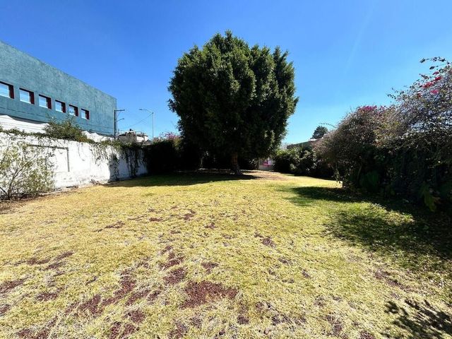 place photo 11