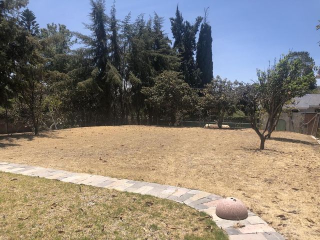 place photo 43