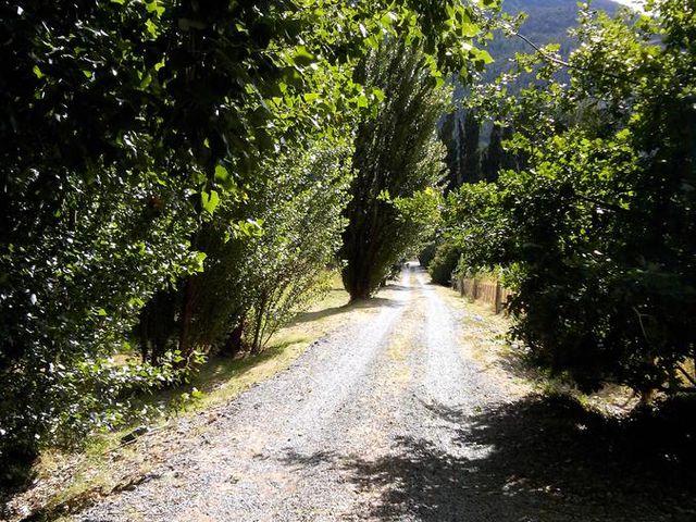 place photo 34