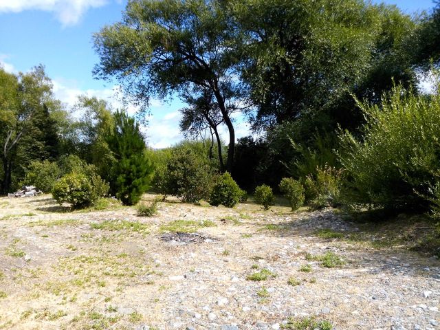 place photo 43