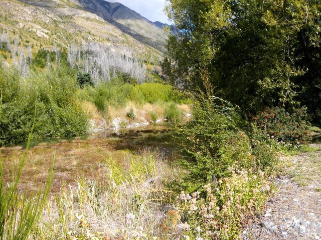 place photo 45